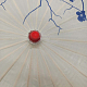 photo-2976718