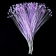 photo-2980025