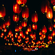 photo-2929250