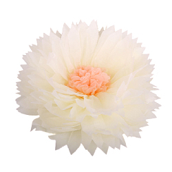 Бумажный цветок 40 см айвори+персиковый