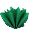 Бумага тишью зеленая 76 х 50 см, 10 листов 17-19 г/м