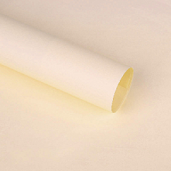 Цветная крафт бумага в листах персиковая 55г/м 54х58 см 20 листов