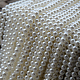 photo-2944294