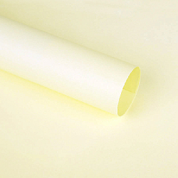 Цветная крафт бумага в листах айвори 55г/м 54х58 см 20 листов